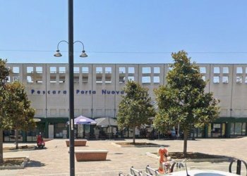 WhatsApp Image 2026-03-18 at 16.46.56.jpeg - Quadrilocale Pescara - foto 1