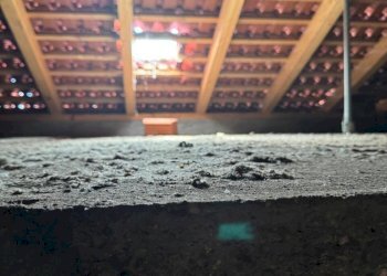 Sottotetto - Portion of a house Via Milanere 29, Almese - photo 18