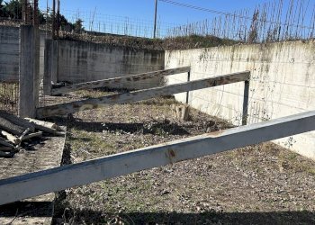 lotto a t (6).JPG - Building land Via Toffanelle Nuove, Zevio - photo 6