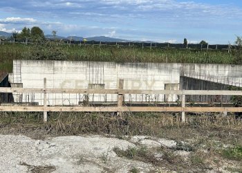 lotto a t (16).JPG - Building land Via Toffanelle Nuove, Zevio - photo 16