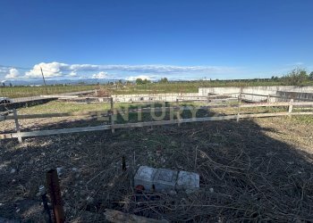 lotto a t (17).JPG - Building land Via Toffanelle Nuove, Zevio - photo 17