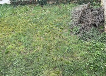 IMG_6459.JPG - Villa Via Belvedere 183, Verona - photo 21