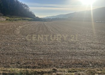 IMG_7216.JPG - Building land Via Don Giovanni Calabria 2, Tregnago - photo 11