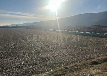 IMG_7213.JPG - Building land Via Don Giovanni Calabria 2, Tregnago - photo 8