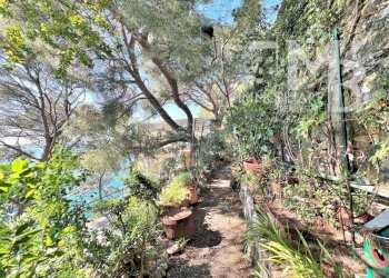 GIARDINO IN USO - Attico Via Alla Torre 2, Sori - foto 19