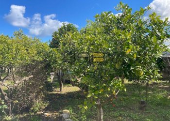 8b4f308e-b0df-4d98-b2fc-1e1319fc5746.jpg - Villa Valderice - foto 13