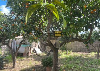 75523112-5c28-4465-a301-7dffd186499c.jpg - Villa Valderice - foto 14