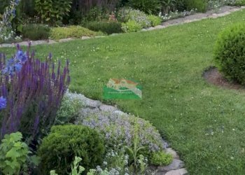 Schermata 2025-07-01 alle 12.11.30.png - Casa indipendente VIA del bordone, Ravenna - foto 5