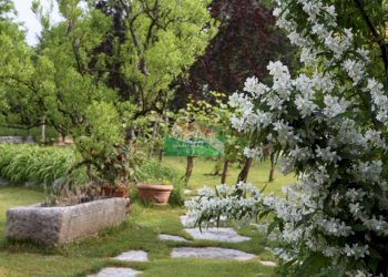 Schermata 2025-05-07 alle 12.35.40.png - Casa indipendente VIA del bordone, Ravenna - foto 6