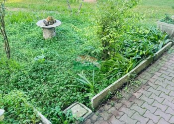 PHOTO-2024-10-26-12-01-28.jpg - Casa indipendente VIA del bordone, Ravenna - foto 12