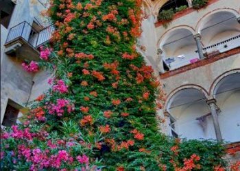 Casa indipendente Piazza Cisterna, 14
Biella, Biella - foto 14