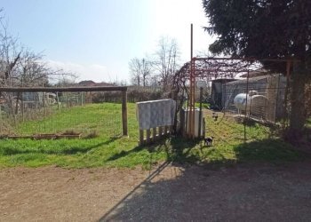 Rustic Carrù - photo 3