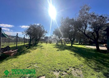 Semi-detached house Via Tagliata, Castelnuovo Magra - photo 9