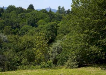 Villa Castiglione Torinese - photo 21