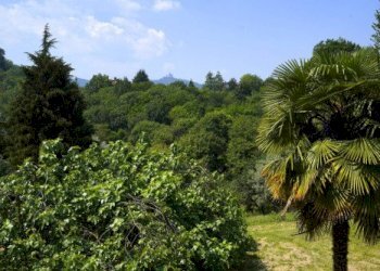 Villa Castiglione Torinese - photo 22