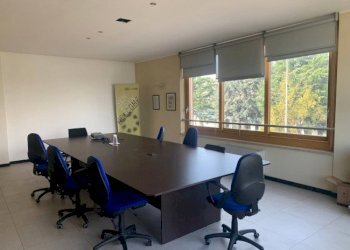 Capannone San Francesco al Campo - foto 11