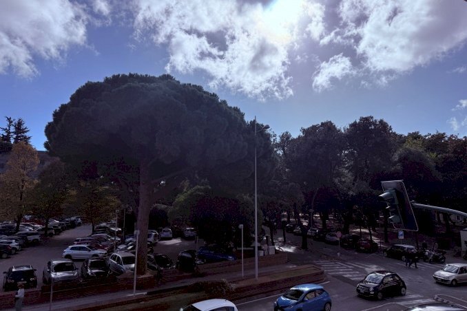 Two-room apartment Savona, Savona (neighborhood Darsena) - photo 3