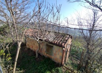 Casa semi indipendente Via Rontagnano Castello, Sogliano al Rubicone - foto 23