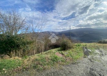 Casa indipendente Loc. La Fratta, Valmozzola - foto 9