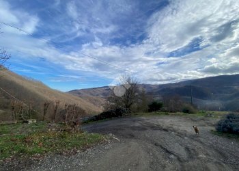 Casa indipendente Loc. La Fratta, Valmozzola - foto 22