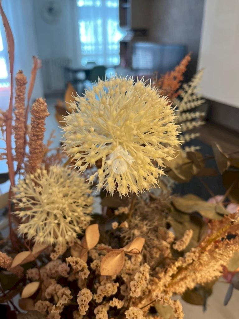 Trilocale Via Franco Russoli, Milano (zona Moncucco) - foto 1