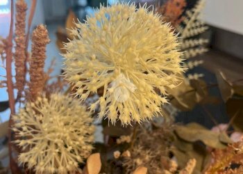 Trilocale Via Franco Russoli, Milano (zona Moncucco) - foto 1