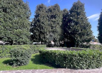 Trilocale Via Franco Russoli, Milano (zona Moncucco) - foto 30