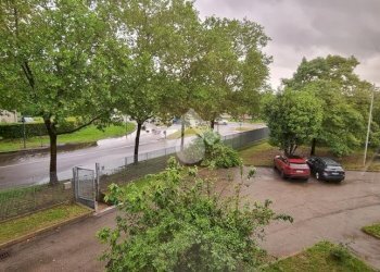 Capannone via Giuseppe Minganti, Bologna - foto 19