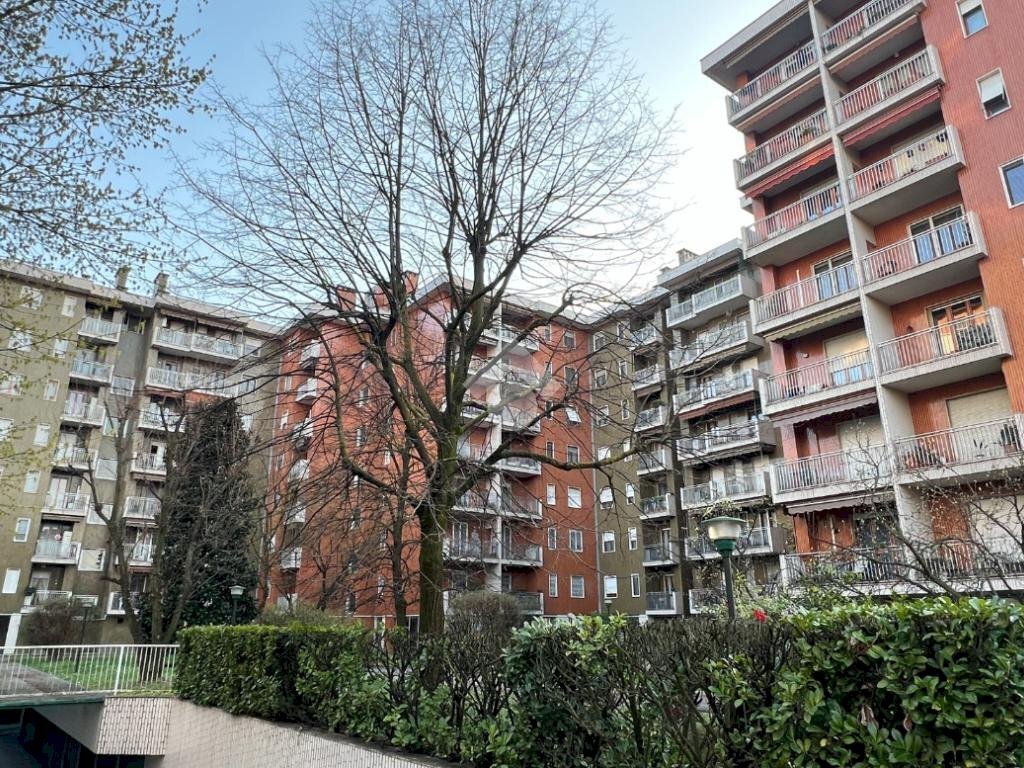 Trilocale Via Morandi, Novate Milanese - foto 1