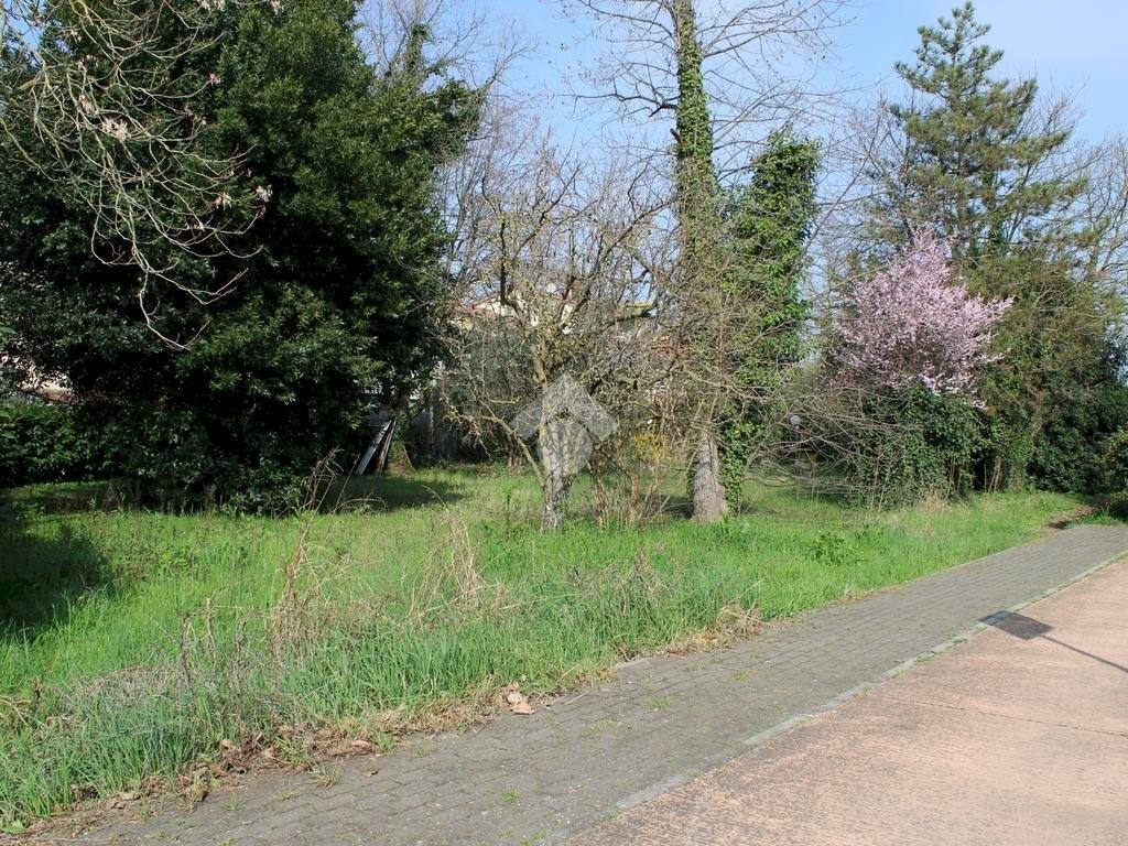 Terreno edificabile Via della Madonna, Forlimpopoli - foto 1