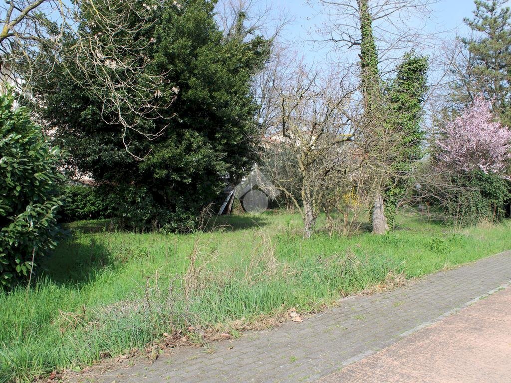 Terreno edificabile Via della Madonna, Forlimpopoli - foto 2