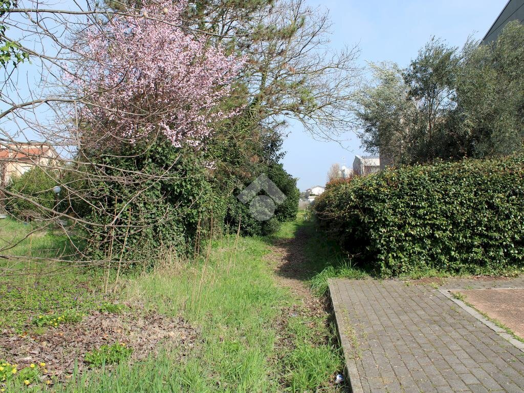 Terreno edificabile Via della Madonna, Forlimpopoli - foto 3
