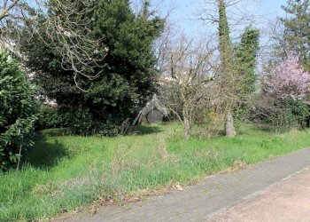 Terreno edificabile Via della Madonna, Forlimpopoli - foto 2