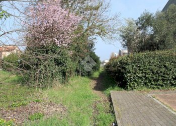 Terreno edificabile Via della Madonna, Forlimpopoli - foto 3