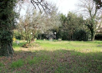 Terreno edificabile Via della Madonna, Forlimpopoli - foto 4