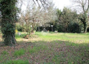 Terreno edificabile Via della Madonna, Forlimpopoli - foto 5