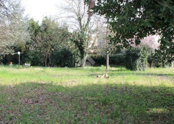 Terreno edificabile Via della Madonna, Forlimpopoli - foto 6