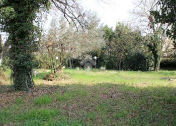 Terreno edificabile Via della Madonna, Forlimpopoli - foto 7