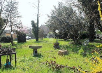 Terreno edificabile Via della Madonna, Forlimpopoli - foto 9