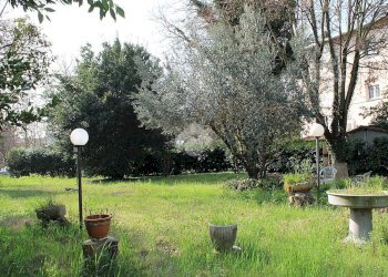 Terreno edificabile Via della Madonna, Forlimpopoli - foto 10