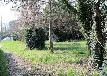 Terreno edificabile Via della Madonna, Forlimpopoli - foto 16