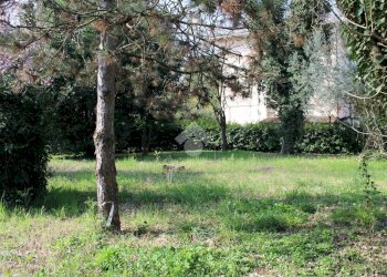 Terreno edificabile Via della Madonna, Forlimpopoli - foto 17