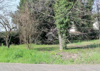 Terreno edificabile Via della Madonna, Forlimpopoli - foto 18