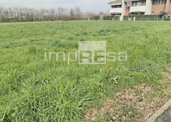 Foto 12 - Terreno edificabile Vicolo Monte Cervino Quinto di Treviso, Quinto di Treviso - foto 12