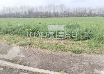 Foto 18 - Terreno edificabile Vicolo Monte Cervino Quinto di Treviso, Quinto di Treviso - foto 18