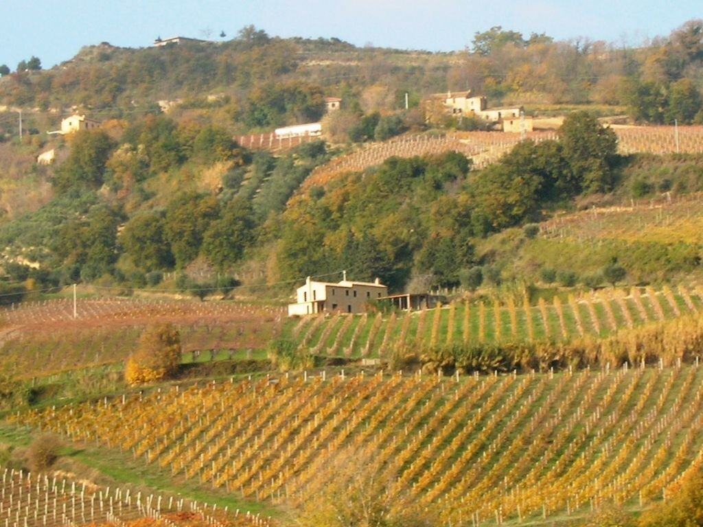 Foto 2 - Rustico Ripatransone - foto 2