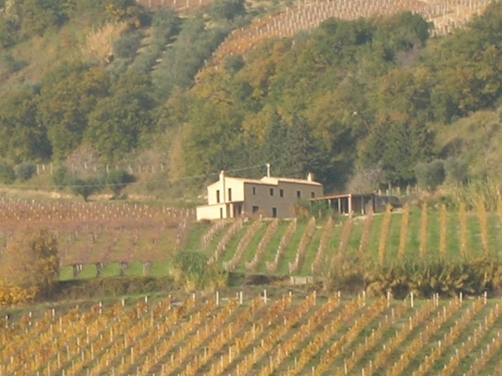 Foto 3 - Rustico Ripatransone - foto 3