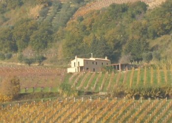 Foto 3 - Rustico Ripatransone - foto 3