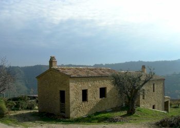 Foto 4 - Rustico Ripatransone - foto 4