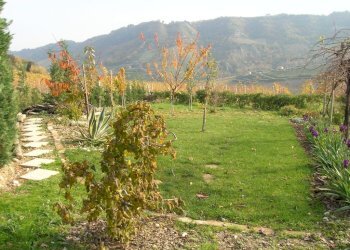 Foto 8 - Rustico Ripatransone - foto 8